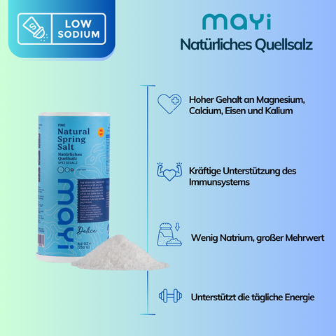 Quellsalz - fein und jodiert mit Salzstreuer 4er pack